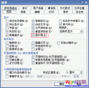 提高Word2003打开长篇图文速度