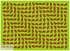 ÉñÆæÍ¼Æ¬-ÌôÕ½ÓÒÄÔ5